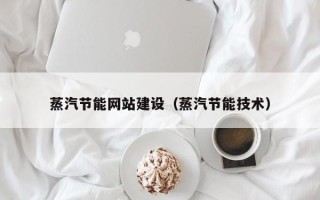 邵阳蒸汽节能网站建设（蒸汽节能技术）